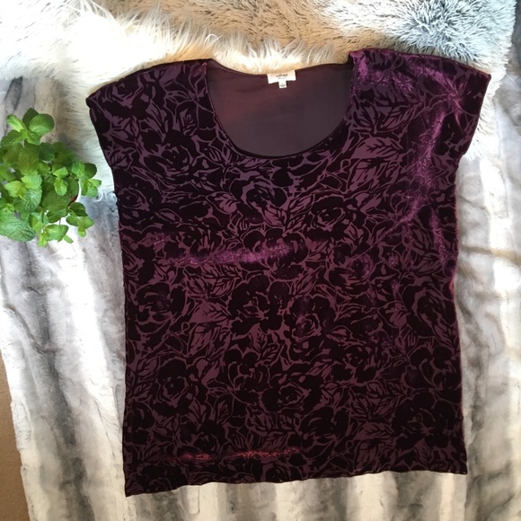 [Wilfred] Silk/Velvet Maroon Floral Shift Dress - Picture 4 of 7